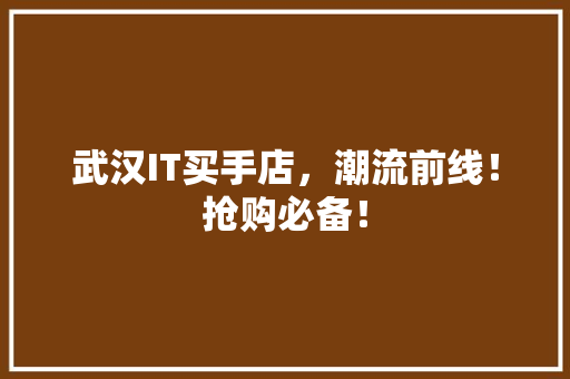 武汉IT买手店，潮流前线！抢购必备！ 头条优化