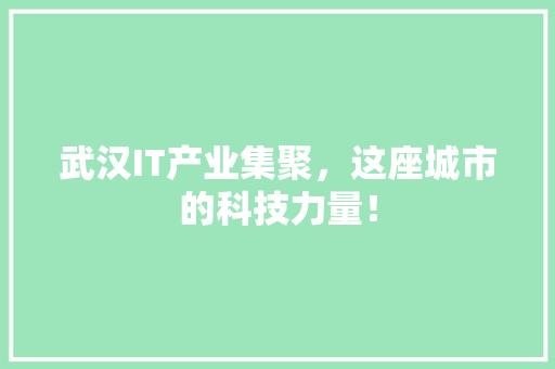 武汉IT产业集聚，这座城市的科技力量！