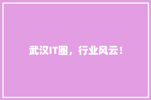 武汉IT圈，行业风云！