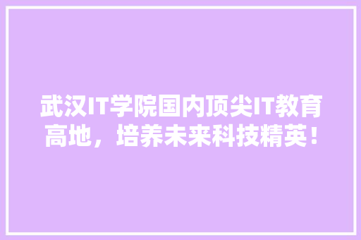 武汉IT学院国内顶尖IT教育高地，培养未来科技精英！ 360搜优化