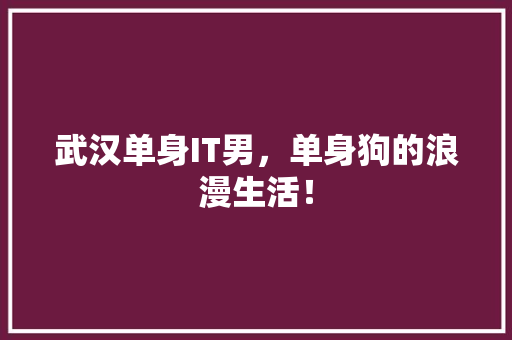 武汉单身IT男，单身狗的浪漫生活！ AI技术学习