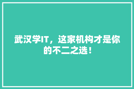 武汉学IT，这家机构才是你的不二之选！ 360搜优化