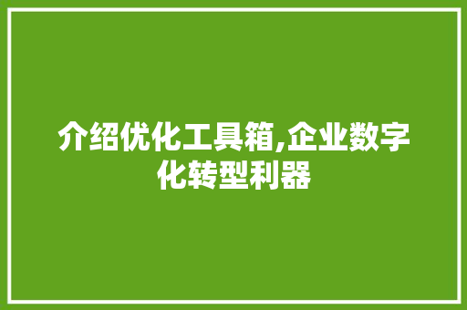 介绍优化工具箱,企业数字化转型利器