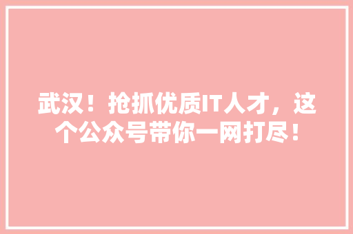 武汉！抢抓优质IT人才，这个公众号带你一网打尽！ 百度算法