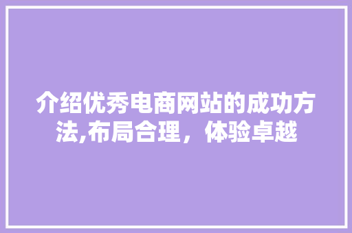 介绍优秀电商网站的成功方法,布局合理，体验卓越