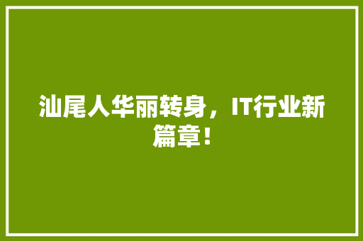 汕尾人华丽转身，IT行业新篇章！