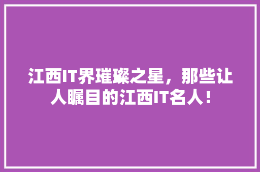 江西IT界璀璨之星，那些让人瞩目的江西IT名人！
