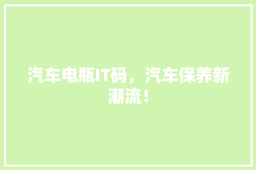 汽车电瓶IT码，汽车保养新潮流！