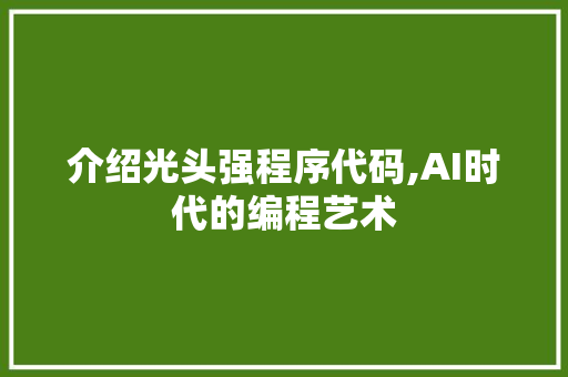 介绍光头强程序代码,AI时代的编程艺术