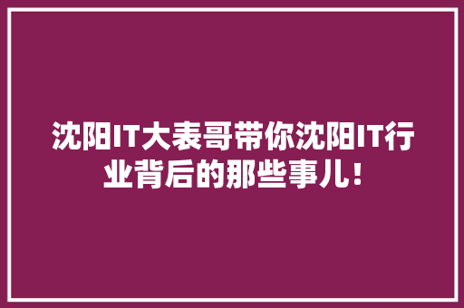 沈阳IT大表哥带你沈阳IT行业背后的那些事儿！