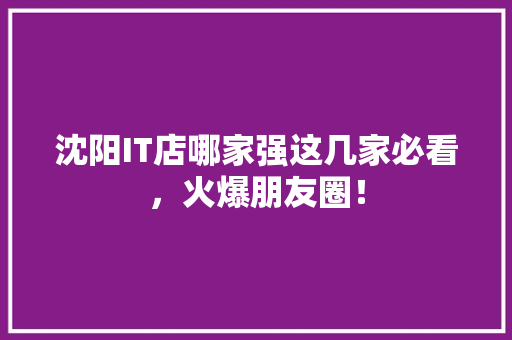 沈阳IT店哪家强这几家必看，火爆朋友圈！