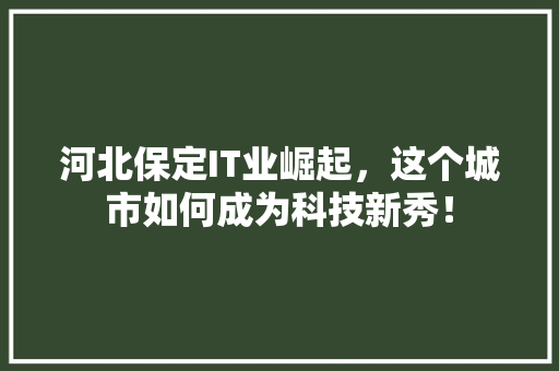 河北保定IT业崛起，这个城市如何成为科技新秀！