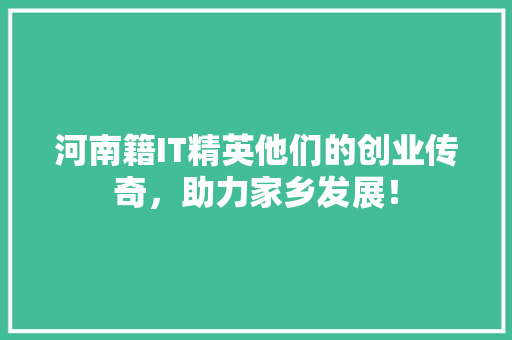 河南籍IT精英他们的创业传奇，助力家乡发展！