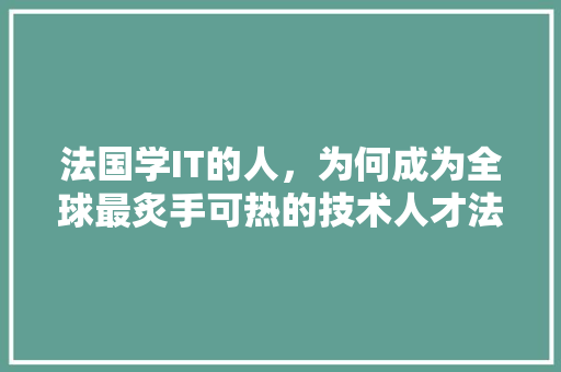 法国学IT的人，为何成为全球最炙手可热的技术人才法国IT教育的秘密！