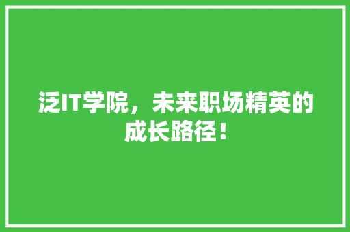 泛IT学院，未来职场精英的成长路径！
