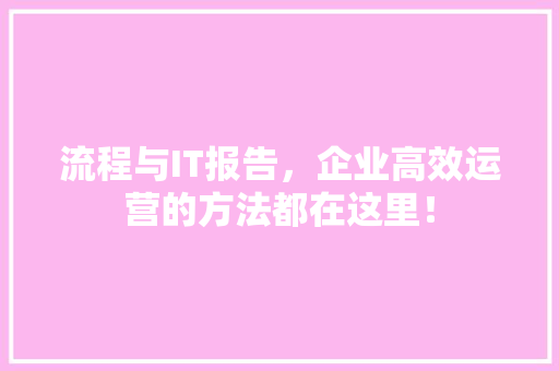 流程与IT报告，企业高效运营的方法都在这里！