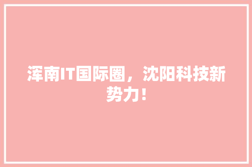 浑南IT国际圈，沈阳科技新势力！ 百度算法
