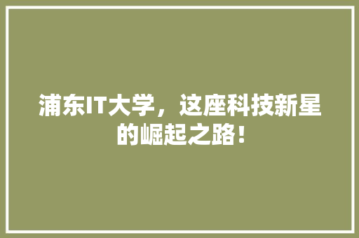 浦东IT大学，这座科技新星的崛起之路！