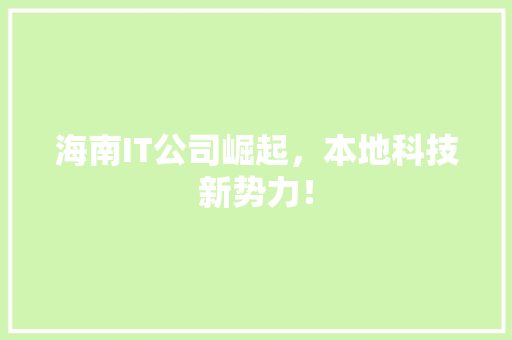 海南IT公司崛起，本地科技新势力！