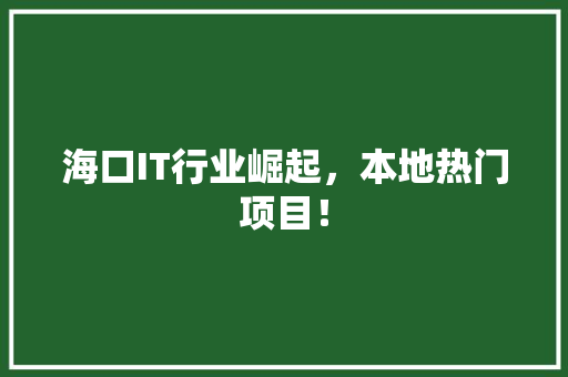 海口IT行业崛起，本地热门项目！