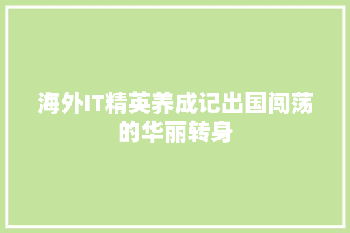 海外IT精英养成记出国闯荡的华丽转身