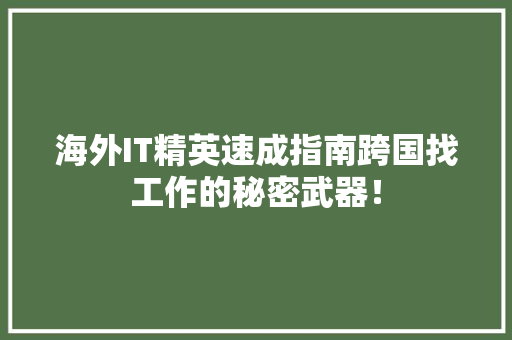 海外IT精英速成指南跨国找工作的秘密武器！
