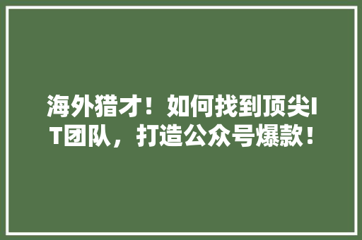 海外猎才！如何找到顶尖IT团队，打造公众号爆款！