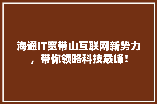 海通IT宽带山互联网新势力，带你领略科技巅峰！