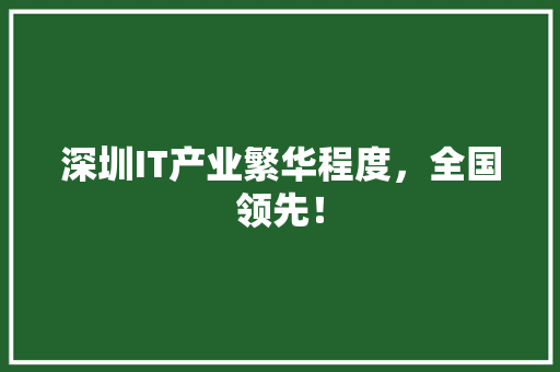 深圳IT产业繁华程度，全国领先！