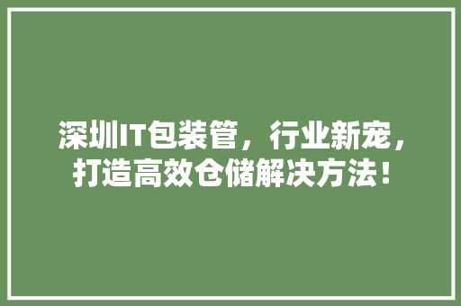 深圳IT包装管，行业新宠，打造高效仓储解决方法！