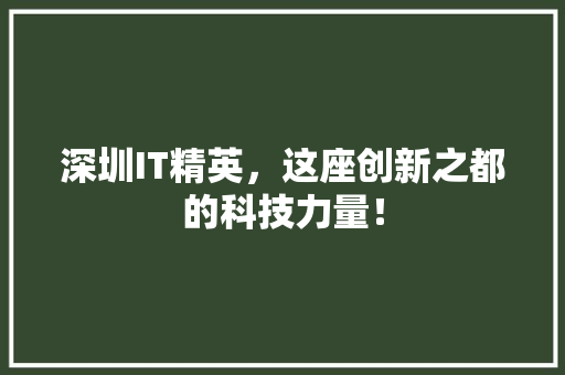深圳IT精英，这座创新之都的科技力量！ AI技术学习