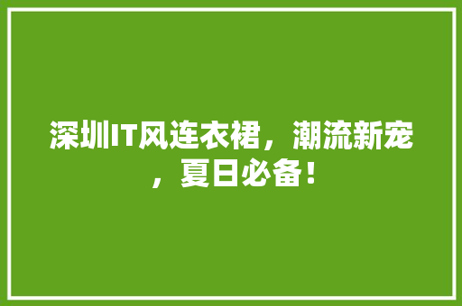 深圳IT风连衣裙，潮流新宠，夏日必备！