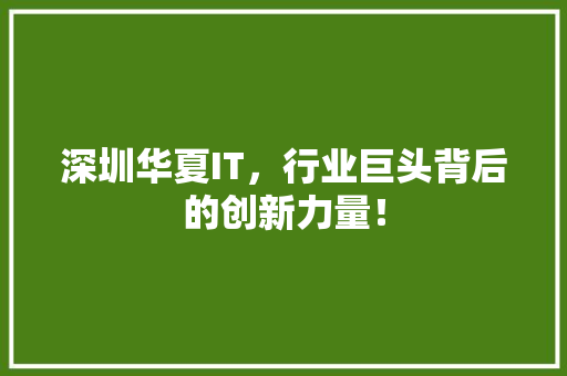 深圳华夏IT，行业巨头背后的创新力量！