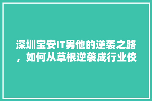 深圳宝安IT男他的逆袭之路，如何从草根逆袭成行业佼佼者！ 网站优化