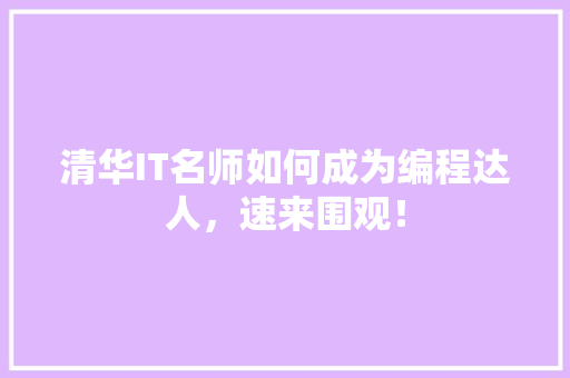 清华IT名师如何成为编程达人，速来围观！