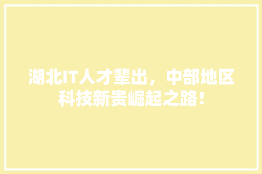 湖北IT人才辈出，中部地区科技新贵崛起之路！ 英文谷歌算法