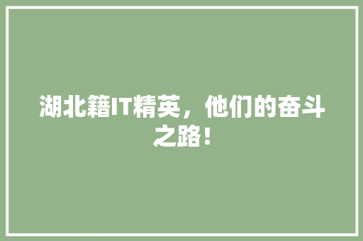 湖北籍IT精英，他们的奋斗之路！ 网站优化