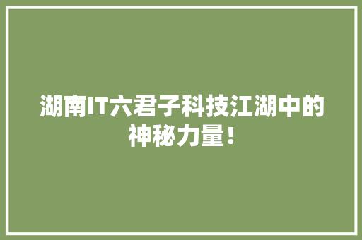 湖南IT六君子科技江湖中的神秘力量！