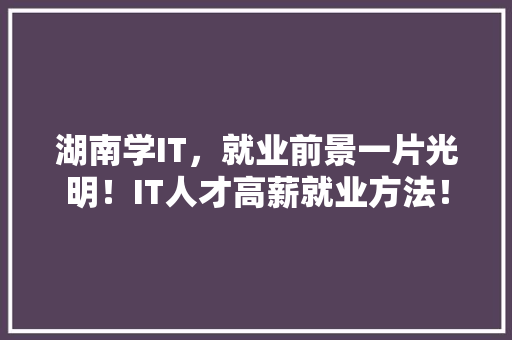 湖南学IT，就业前景一片光明！IT人才高薪就业方法！