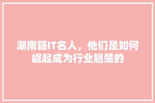 湖南籍IT名人，他们是如何崛起成为行业翘楚的