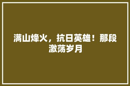 满山烽火，抗日英雄！那段激荡岁月 英文谷歌算法
