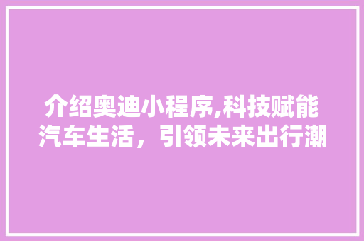 介绍奥迪小程序,科技赋能汽车生活，引领未来出行潮流