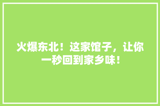 火爆东北！这家馆子，让你一秒回到家乡味！ 网站开发