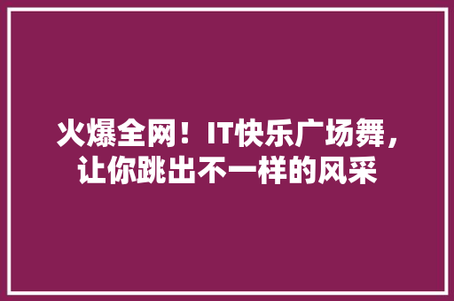 火爆全网！IT快乐广场舞，让你跳出不一样的风采 seo技术