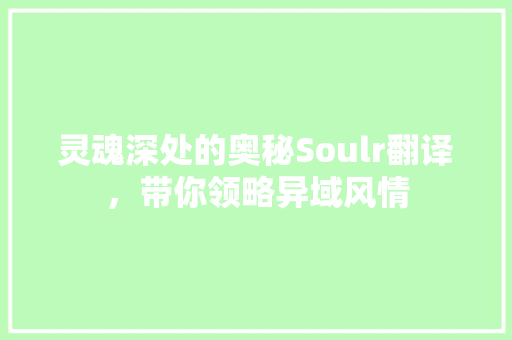 灵魂深处的奥秘Soulr翻译，带你领略异域风情 小程序开发
