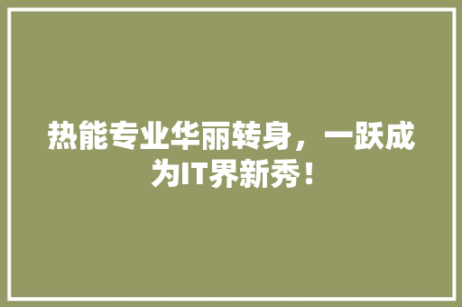 热能专业华丽转身，一跃成为IT界新秀！