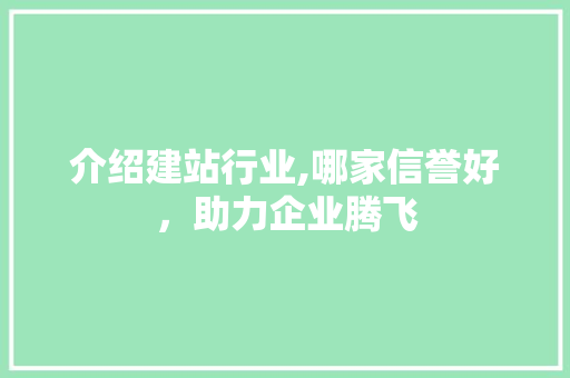 介绍建站行业,哪家信誉好，助力企业腾飞 介绍建站行业,哪家信誉好，助力企业腾飞 seo技术
