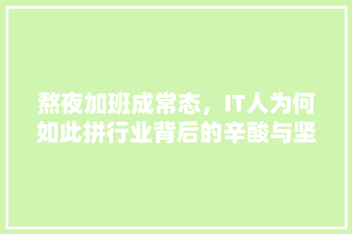熬夜加班成常态，IT人为何如此拼行业背后的辛酸与坚守 网站开发