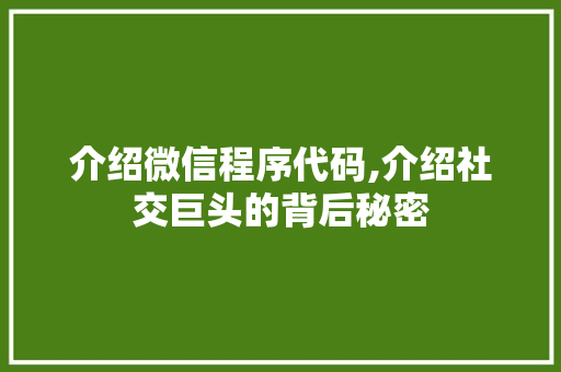 介绍微信程序代码,介绍社交巨头的背后秘密 介绍微信程序代码,介绍社交巨头的背后秘密 网站优化