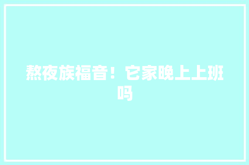 熬夜族福音！它家晚上上班吗